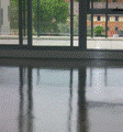 Eco-Living Concrete_Polishing